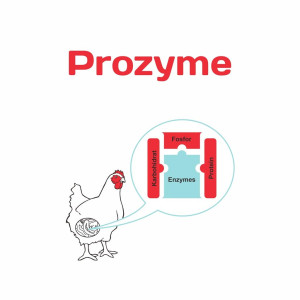Label Merek